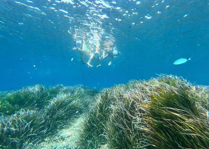 Casa Pena En Appartement Son Bou